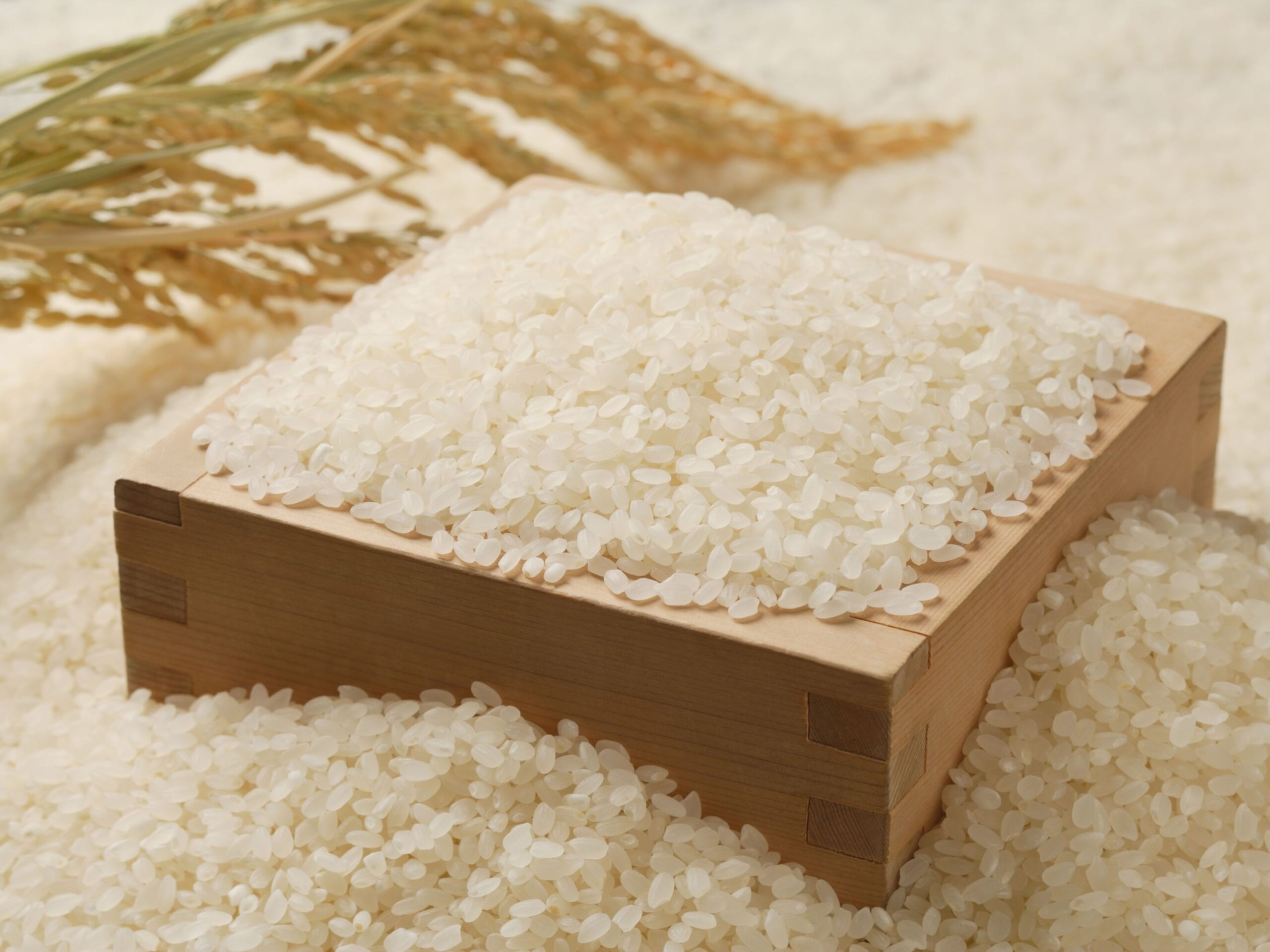 Exfoliante facial de arroz - Imagen 5